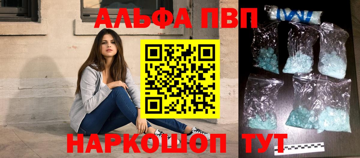 Альфа ПВП СК КРИС Кондопога