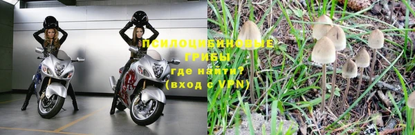 Альфа ПВП Алзамай