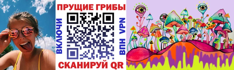 сайты даркнета формула  Кондопога  Псилоцибиновые грибы мицелий 