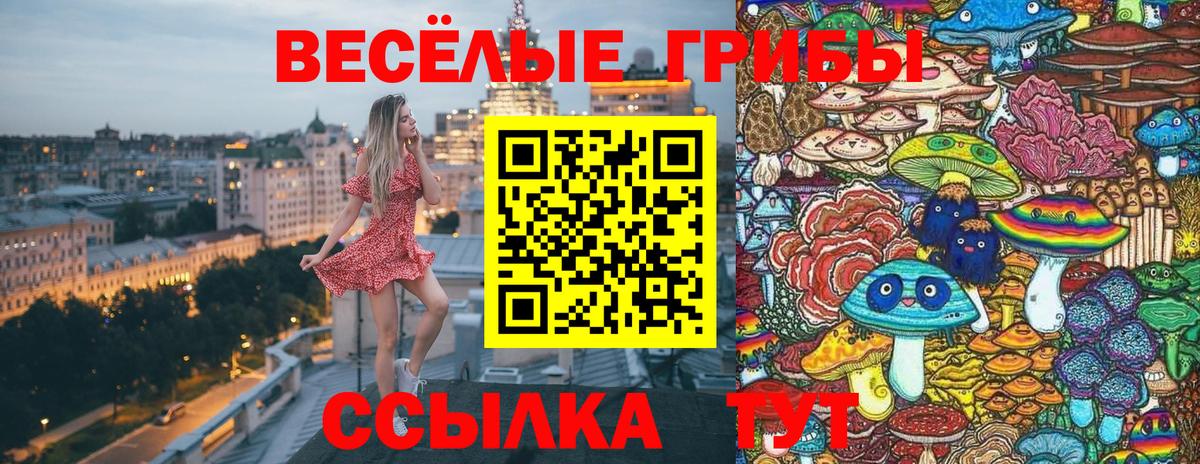 Бошки Шишки  ГАШИШ  Вход с VPN  КОКАИН  Кондопога  Меф МЯУ МЯУ кристаллы  Alpha PVP СОЛЬ кристаллы 