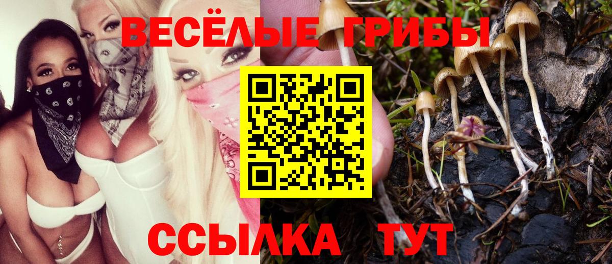 Псилоцибиновые грибы ЛСД Кондопога